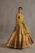 Durbaar saras mustard lehenga set