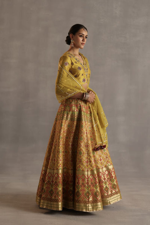 Durbaar saras mustard lehenga set