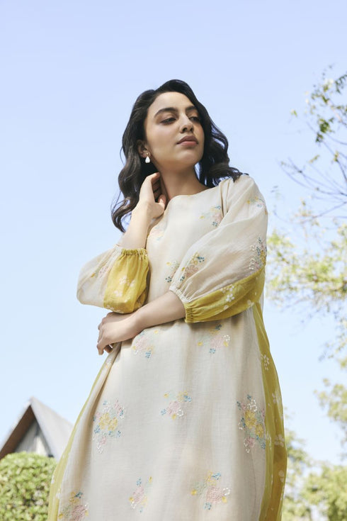 Ecru embroidered dress