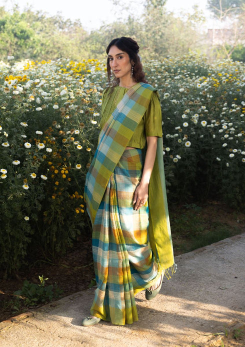 Entwined checkered sari