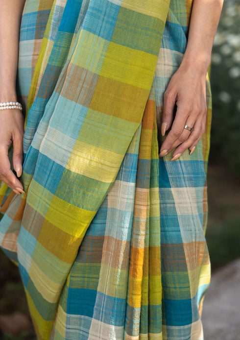 Entwined checkered sari