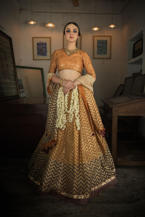 Faridkot anand kesaria orange blouse