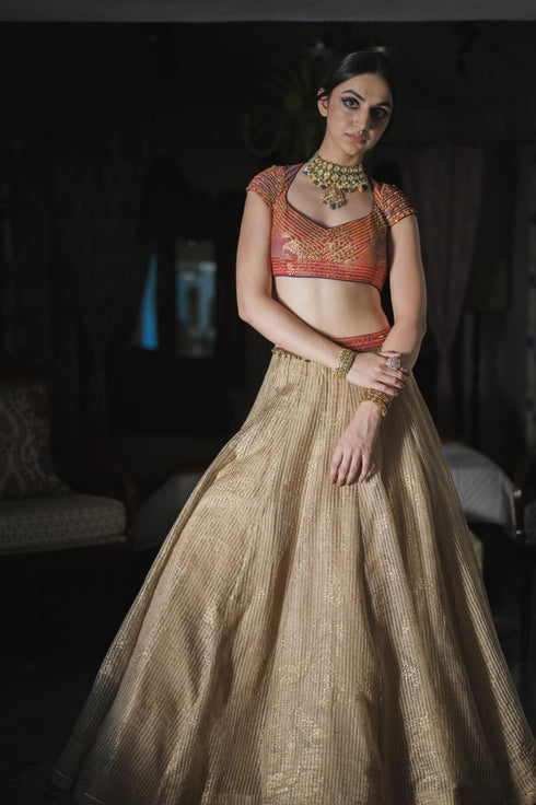 Faridkot indo gold skirt