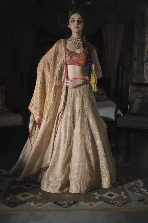 Faridkot indo gold skirt