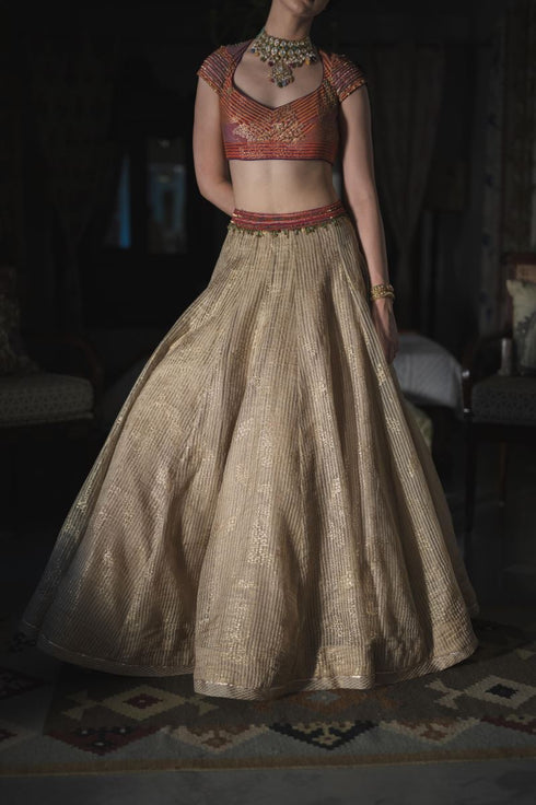 Faridkot indo gold skirt
