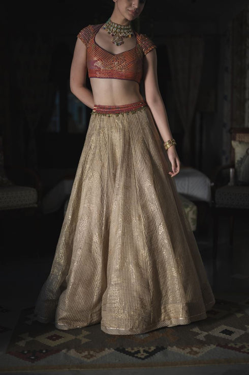 Faridkot indo gold skirt