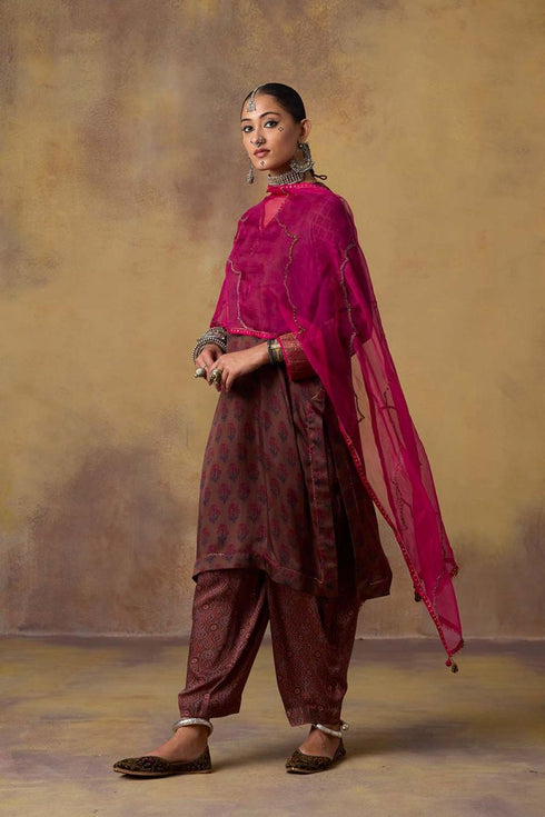 Goonj pink organza stole