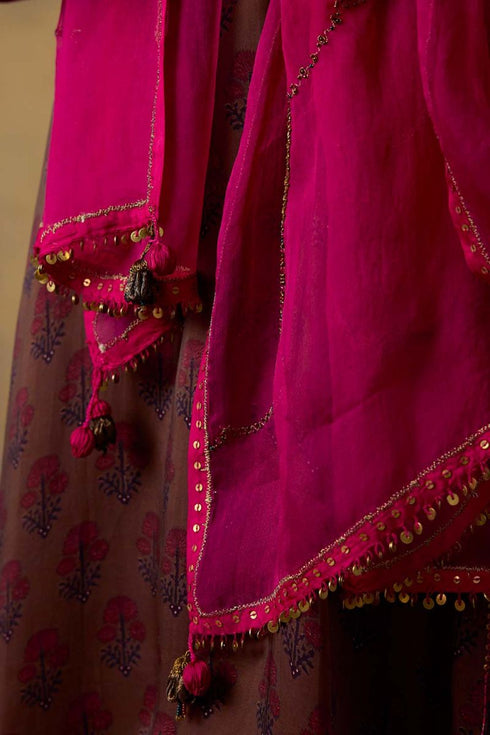 Goonj pink organza stole