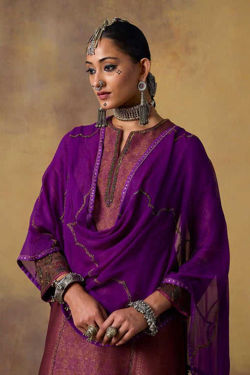 Goonj purple georgette stole