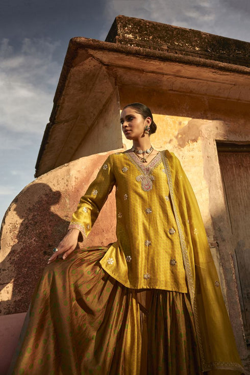 Haldi Nashpal multicolor short kurti Sharara set