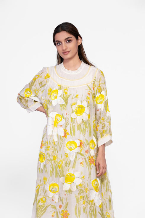 Cotton printed embroidered dress