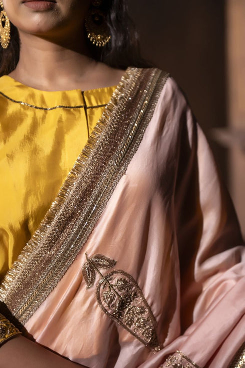 Jalshaghar ash pink turkish ashoka sari