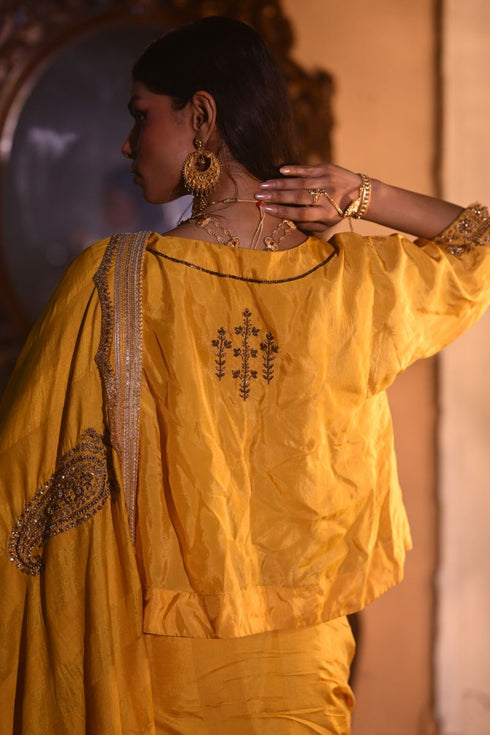 Jalshaghar yellow reshma blouse