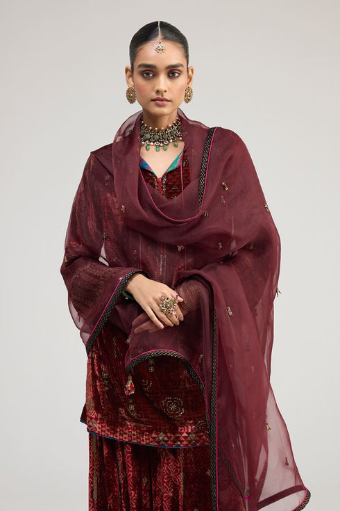 Kainaat maroon organza dupatta