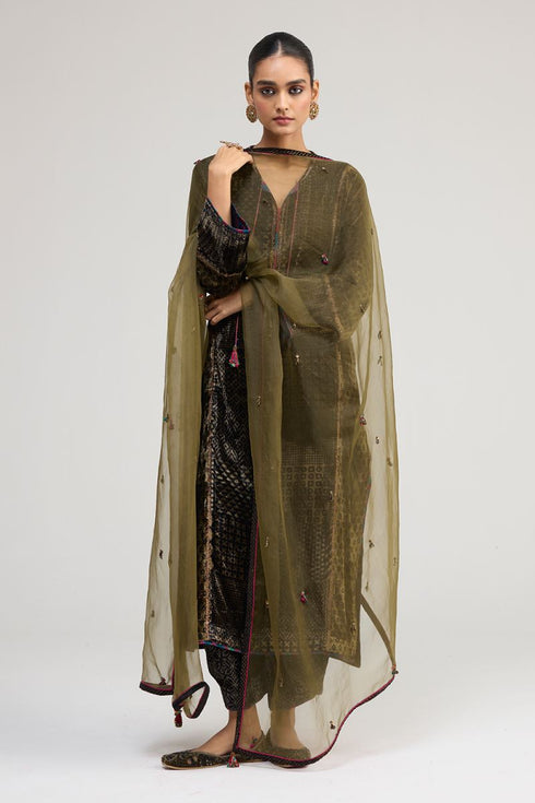 Kainaat olive green organza dupatta