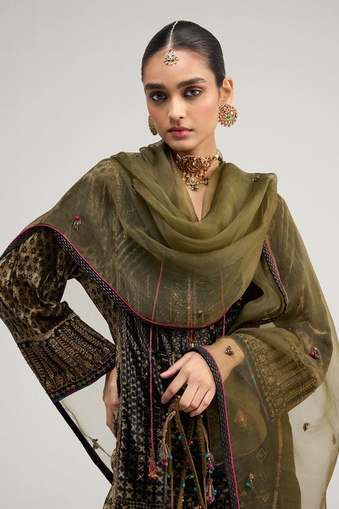Kainaat olive green organza dupatta