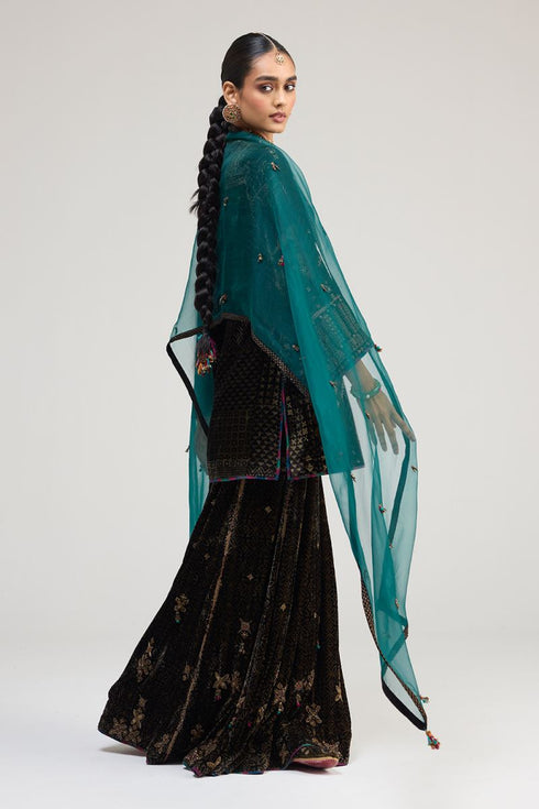 Kainaat teal organza stole