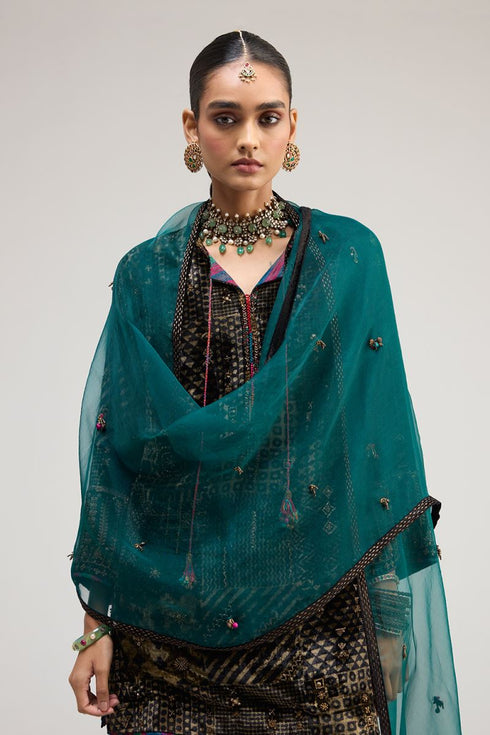 Kainaat teal organza stole