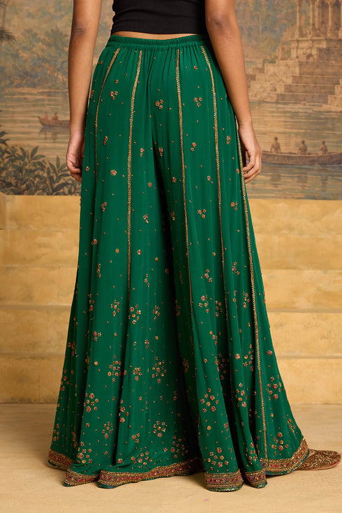 Kashi green sharara