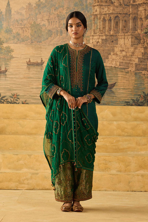 Kashi green stole