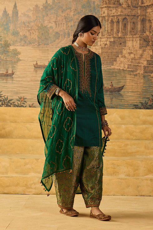 Kashi green stole