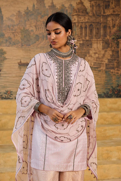 Kashi pink stole