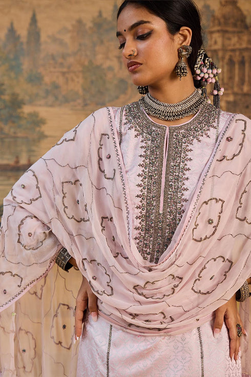 Kashi pink stole