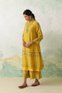 Lime green thin chanderi multicolor kashmiri embroidered back slit kurta set