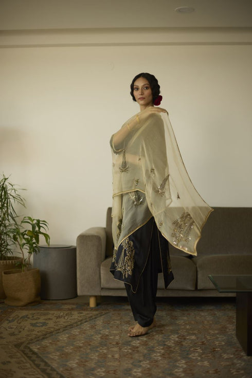 Maitreyi beige chaya dupatta