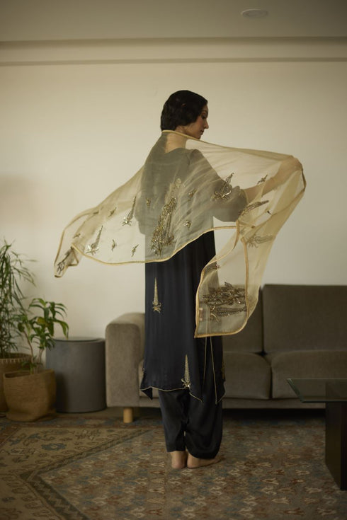 Maitreyi beige chaya dupatta