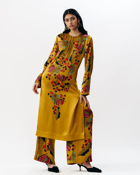 Multicolor printed kurta with trouser set