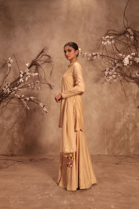 Nazakat ivory heavy mirror work Sharara set