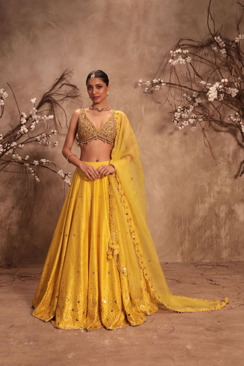 Nazakat yellow heavy mirror work sleeveless lehenga set