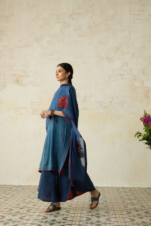 Nitya blue overlap ijar