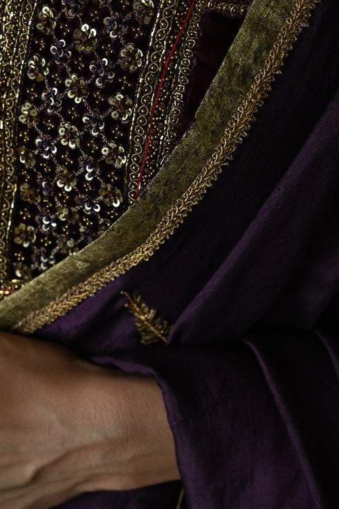 Noor purple jamuni patta sari