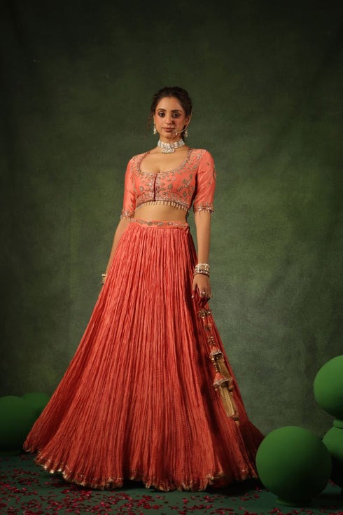 Pakeezah zardozi ambi buta lehenga narangi set