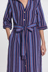 Pimpernel stripe belted dress