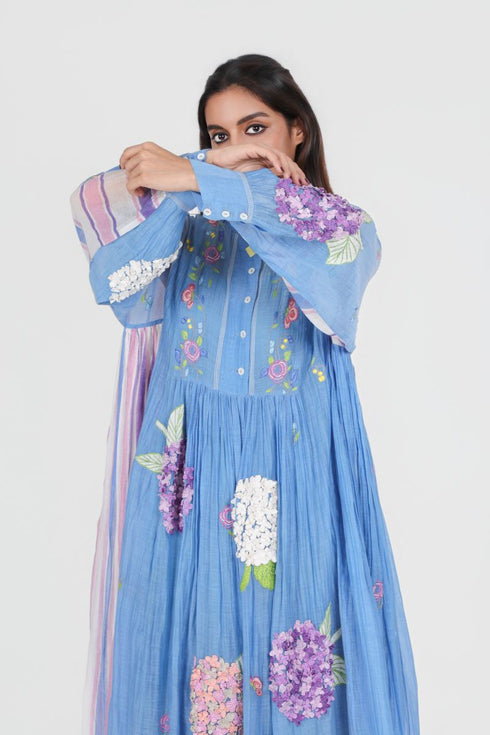 Playpen blue applique and thread embroidered dress