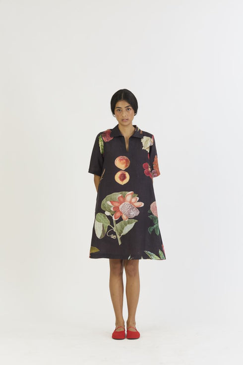 Plum black short collared dress