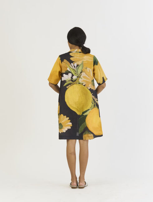 Pomello black and yellow short collared dress