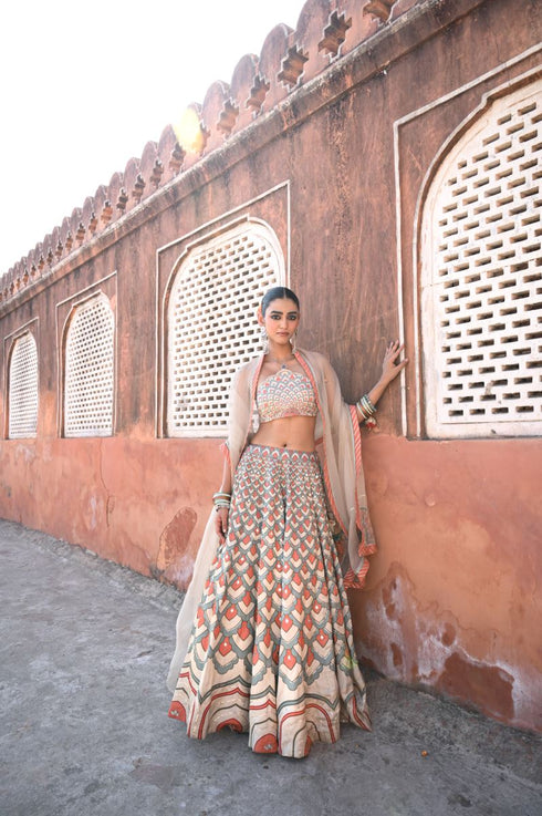 Raas multicolor peacock lehenga set