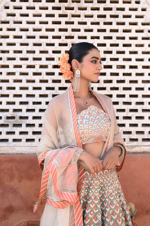 Raas multicolor peacock lehenga set