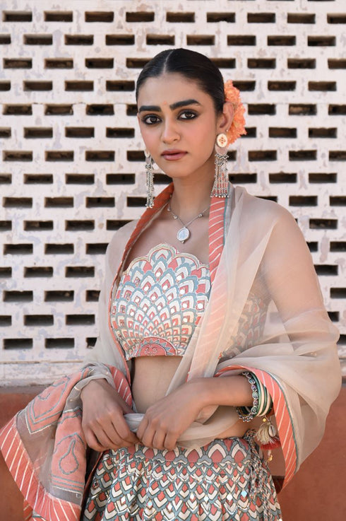 Raas multicolor peacock lehenga set