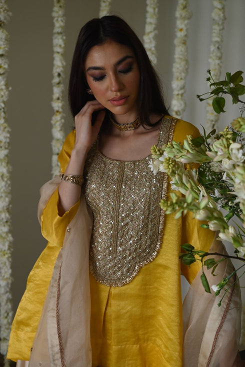 Rangeela deep ivory organza dupatta