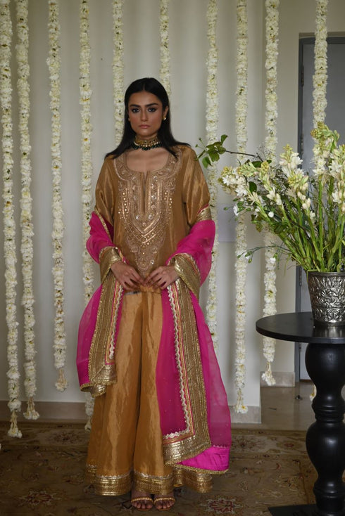 Rangeela hot pink amal organza dupatta