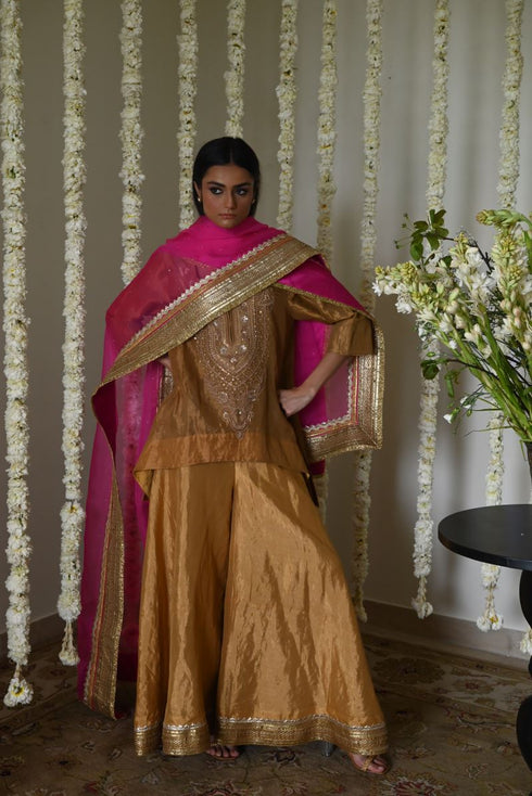 Rangeela hot pink amal organza dupatta