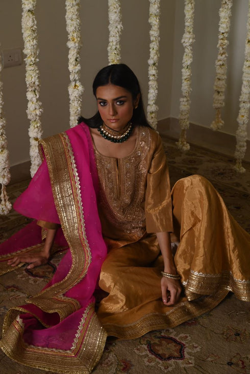 Rangeela hot pink amal organza dupatta