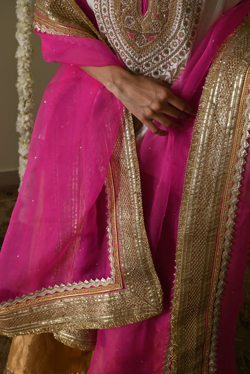 Rangeela hot pink amal organza dupatta