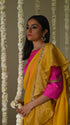 Rangeela ochre alia chiffon sari
