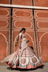 Rang mahal multicolor lehenga set
